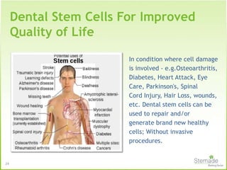 In condition where cell damage
is involved - e.g.Osteoarthritis,
Diabetes, Heart Attack, Eye
Care, Parkinson's, Spinal
Cord Injury, Hair Loss, wounds,
etc. Dental stem cells can be
used to repair and/or
generate brand new healthy
cells; Without invasive
procedures.
Dental Stem Cells For Improved
Quality of Life
24
 