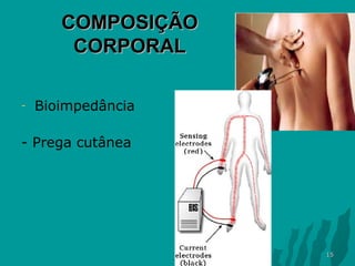 COMPOSIÇÃO
CORPORAL
-

Bioimpedância

- Prega cutânea

15

 
