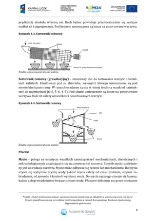 Projekt „Model systemu wdrażania i upowszechniania kształcenia na odległość w uczeniu się przez całe życie”
Projekt współfinansowany ze środków Unii Europejskiej w ramach Europejskiego Funduszu Społecznego
Wyposażenie gastronomii
4
prędkością dookoła własnej osi. Ruch bębna powoduje przemieszczanie się warzyw
wzdłuż sit i segregowanie. Pod bębnem umieszczone są kosze na posortowane warzywa.
Rysunek 4.3. Sortownik bębnowy
Źródło: opracowanie własne autora
Sortownik ramowy (grawitacyjny) – stosowany jest do sortowania warzyw o kształ-
tach kulistych. Zbudowany jest ze zbiornika, wewnątrz którego umieszczone są pod
niewielkim kątem ramy. W ramach osadzone są sita o różnej średnicy oczek od najwięk-
szej do najmniejszej (6–8, 5–6, 4–5). Pod sitami umieszczone są kosze na posortowane
warzywa. Ilość sit zależy od wielkości posortowanych warzyw.
Rysunek 4.4. Sortownik ramowy
Źródło: opracowanie własne autora
Płuczki
Mycie – polega na usunięciu wszelkich zanieczyszczeń mechanicznych, chemicznych i
mikrobiologicznych znajdujących się na powierzchni surowca. Sposób mycia uzależnio-
ny jest od rodzaju surowca. Mycie może odbywać się ręcznie lub mechanicznie. Do mycia
używa się wyłącznie czystej wody. Jakość mycia zależy od czasu płukania, stopnia za-
brudzenia, od sposobu i kontroli wymiany wody. Do mycia ręcznego stosuje się baseny,
kadzie z doprowadzeniem bieżącej zimnej wody. Płukanie dokonuje się przez mieszanie
wlot surowca
napęd
bęben
kosze na posortowane warzywa
kosze
sita
wlot surowca
ramy
kosze
 