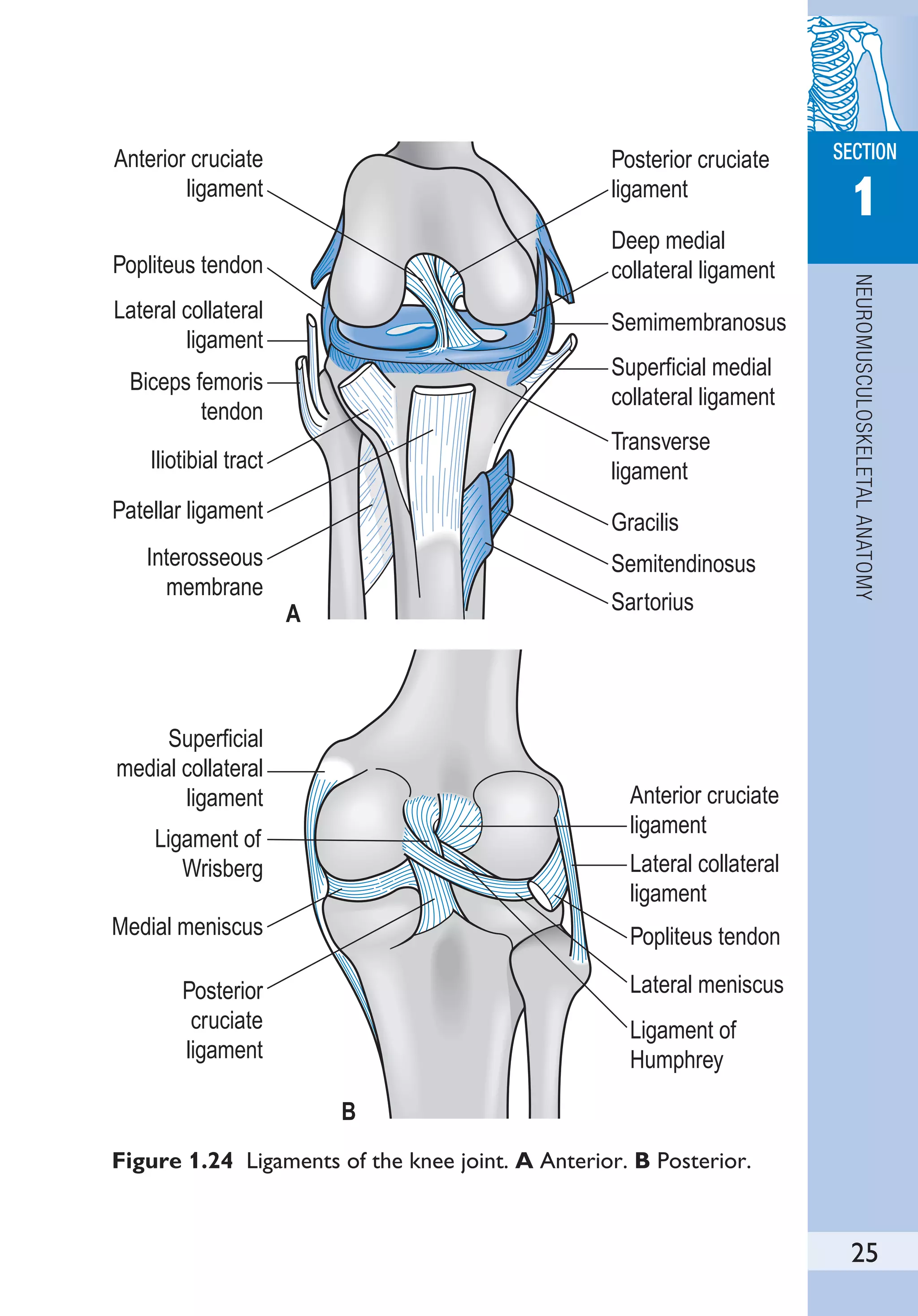 Books - Best Physiotherapy Center In Bengaluru - Foto 8