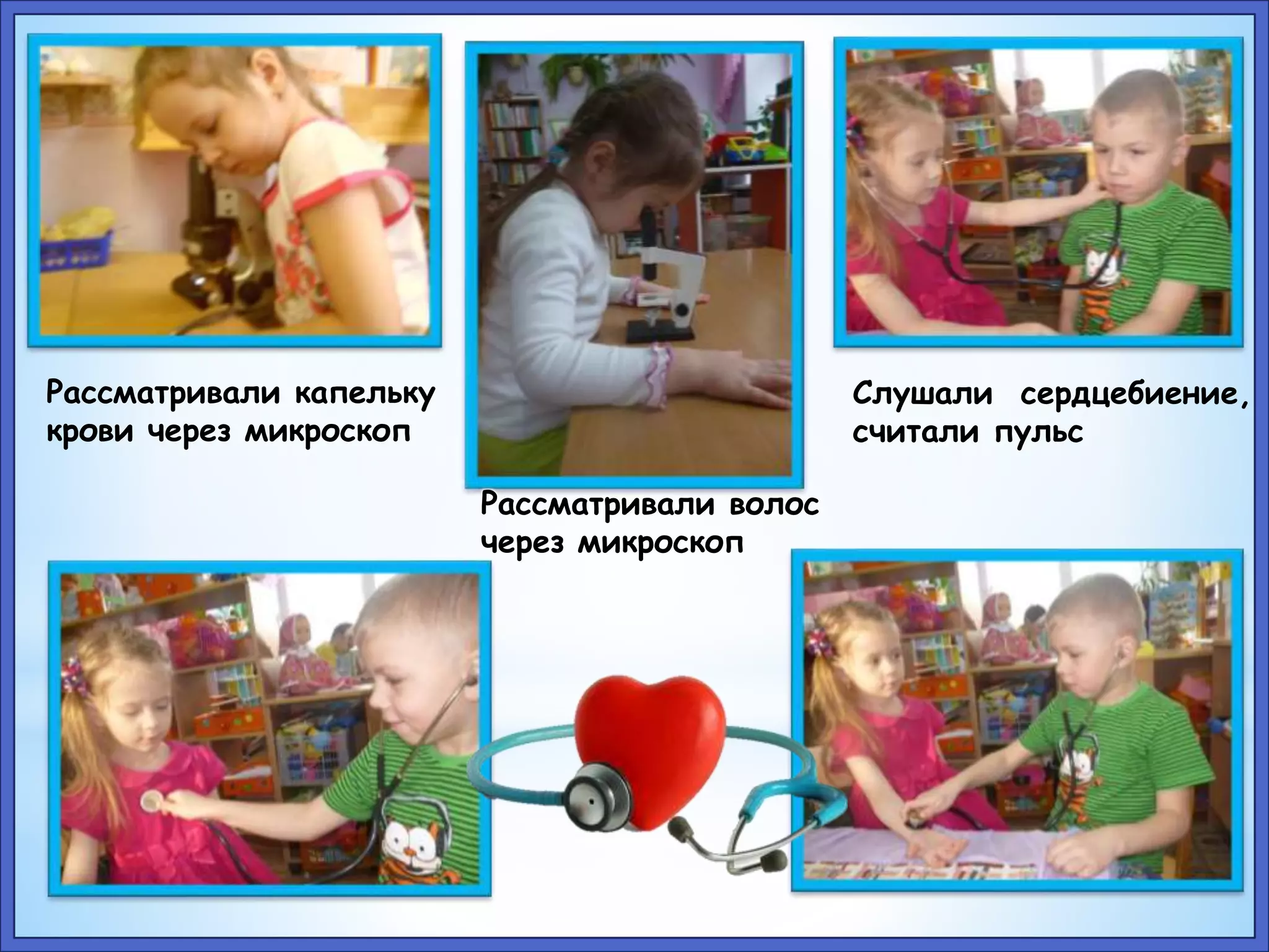Рассматривали капельку 
крови через микроскоп 
Слушали сердцебиение, 
считали пульс 
Рассматривали волос 
через микроскоп 
 