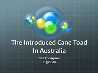 The Introduced Cane Toad
In Australia
Ben Thompson
18458800
 