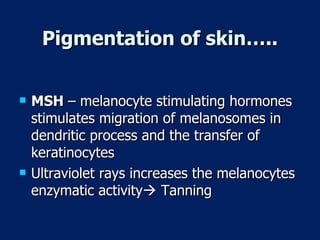 Pigmentation of skin….. MSH  – melanocyte stimulating hormones stimulates migration of melanosomes in dendritic process and the transfer of keratinocytes Ultraviolet rays increases the melanocytes enzymatic activity   Tanning 