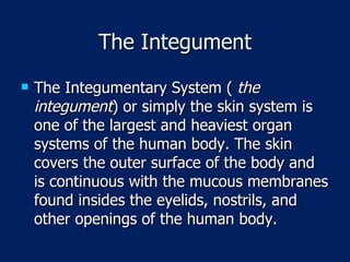 The Integument The Integumentary System (  the integument ) or simply the skin system is one of the largest and heaviest organ systems of the human body. The skin covers the outer surface of the body and is continuous with the mucous membranes found insides the eyelids, nostrils, and other openings of the human body.  
