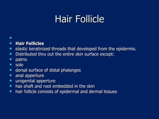 Hair Follicle Hair Follicles  elastic keratinized threads that developed from the epidermis. Distributed thru out the entire skin surface except: palms sole dorsal surface of distal phalanges anal apperture urogenital apperture has shaft and root embedded in the skin hair follicle consists of epidermal and dermal tissues 
