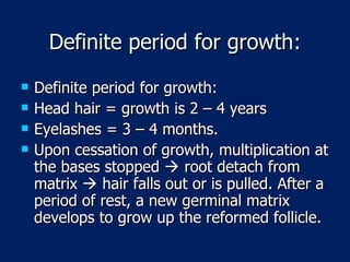 Definite period for growth: Definite period for growth: Head hair = growth is 2 – 4 years Eyelashes = 3 – 4 months. Upon cessation of growth, multiplication at the bases stopped    root detach from matrix    hair falls out or is pulled. After a period of rest, a new germinal matrix develops to grow up the reformed follicle. 