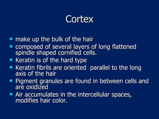 Cortex make up the bulk of the hair composed of several layers of long flattened spindle shaped cornified cells. Keratin is of the hard type Keratin fibrils are oriented  parallel to the long axis of the hair Pigment granules are found in between cells and are oxidized Air accumulates in the intercellular spaces, modifies hair color. 