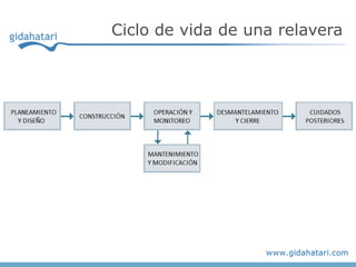 Ciclo de vida de una relavera
 