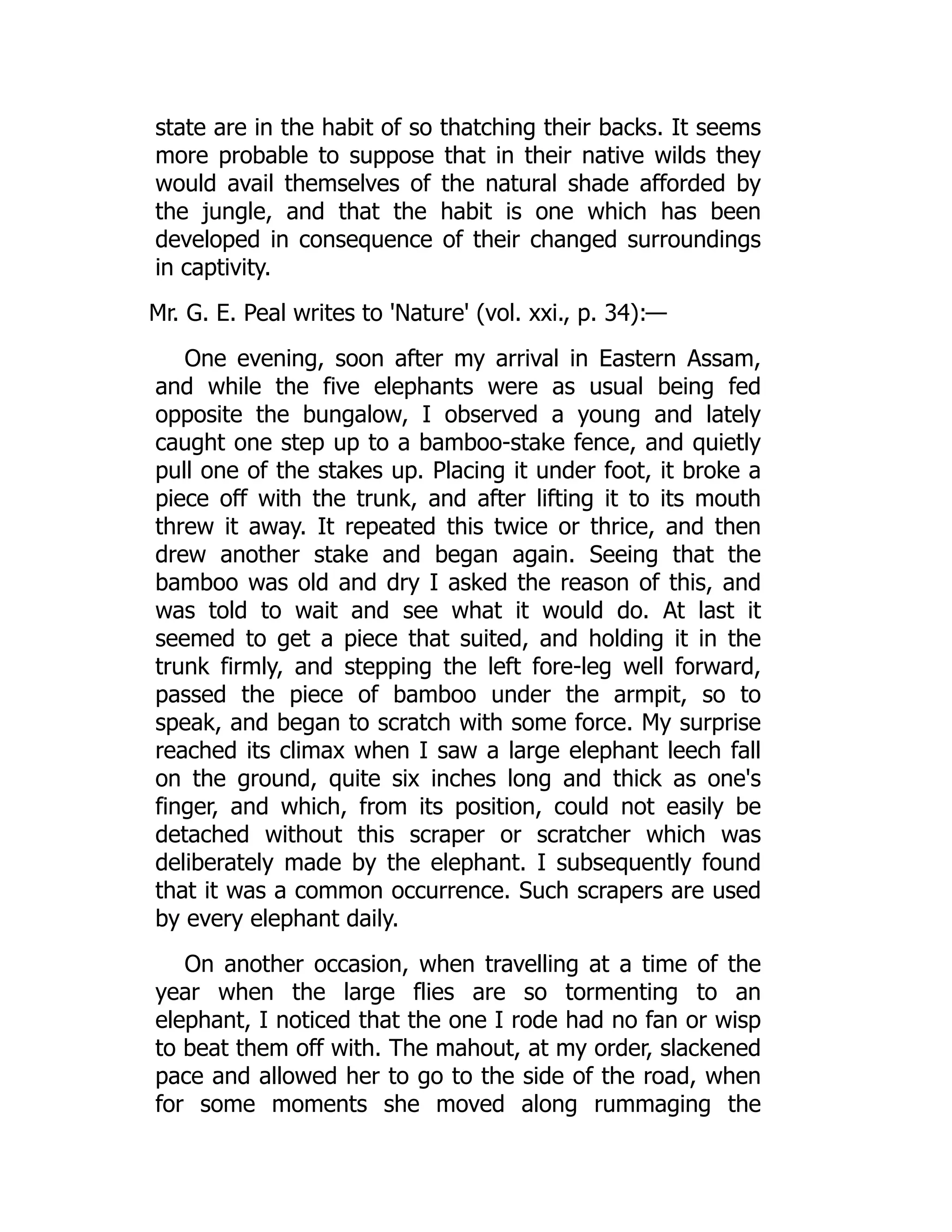 state are in the habit of so thatching their backs. It seems
more probable to suppose that in their native wilds they
would avail themselves of the natural shade afforded by
the jungle, and that the habit is one which has been
developed in consequence of their changed surroundings
in captivity.
Mr. G. E. Peal writes to 'Nature' (vol. xxi., p. 34):—
One evening, soon after my arrival in Eastern Assam,
and while the five elephants were as usual being fed
opposite the bungalow, I observed a young and lately
caught one step up to a bamboo-stake fence, and quietly
pull one of the stakes up. Placing it under foot, it broke a
piece off with the trunk, and after lifting it to its mouth
threw it away. It repeated this twice or thrice, and then
drew another stake and began again. Seeing that the
bamboo was old and dry I asked the reason of this, and
was told to wait and see what it would do. At last it
seemed to get a piece that suited, and holding it in the
trunk firmly, and stepping the left fore-leg well forward,
passed the piece of bamboo under the armpit, so to
speak, and began to scratch with some force. My surprise
reached its climax when I saw a large elephant leech fall
on the ground, quite six inches long and thick as one's
finger, and which, from its position, could not easily be
detached without this scraper or scratcher which was
deliberately made by the elephant. I subsequently found
that it was a common occurrence. Such scrapers are used
by every elephant daily.
On another occasion, when travelling at a time of the
year when the large flies are so tormenting to an
elephant, I noticed that the one I rode had no fan or wisp
to beat them off with. The mahout, at my order, slackened
pace and allowed her to go to the side of the road, when
for some moments she moved along rummaging the
 