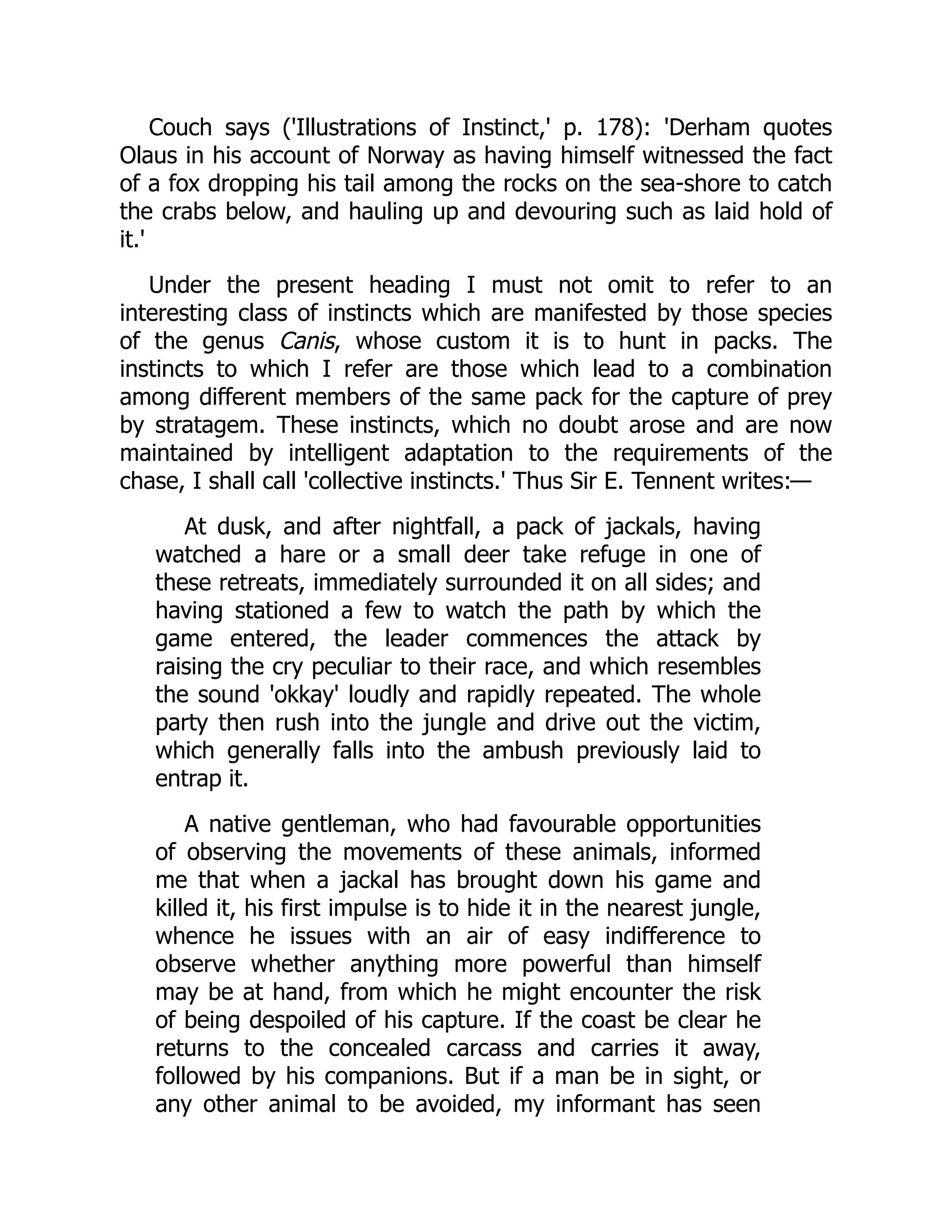 Couch says ('Illustrations of Instinct,' p. 178): 'Derham quotes
Olaus in his account of Norway as having himself witnessed the fact
of a fox dropping his tail among the rocks on the sea-shore to catch
the crabs below, and hauling up and devouring such as laid hold of
it.'
Under the present heading I must not omit to refer to an
interesting class of instincts which are manifested by those species
of the genus Canis, whose custom it is to hunt in packs. The
instincts to which I refer are those which lead to a combination
among different members of the same pack for the capture of prey
by stratagem. These instincts, which no doubt arose and are now
maintained by intelligent adaptation to the requirements of the
chase, I shall call 'collective instincts.' Thus Sir E. Tennent writes:—
At dusk, and after nightfall, a pack of jackals, having
watched a hare or a small deer take refuge in one of
these retreats, immediately surrounded it on all sides; and
having stationed a few to watch the path by which the
game entered, the leader commences the attack by
raising the cry peculiar to their race, and which resembles
the sound 'okkay' loudly and rapidly repeated. The whole
party then rush into the jungle and drive out the victim,
which generally falls into the ambush previously laid to
entrap it.
A native gentleman, who had favourable opportunities
of observing the movements of these animals, informed
me that when a jackal has brought down his game and
killed it, his first impulse is to hide it in the nearest jungle,
whence he issues with an air of easy indifference to
observe whether anything more powerful than himself
may be at hand, from which he might encounter the risk
of being despoiled of his capture. If the coast be clear he
returns to the concealed carcass and carries it away,
followed by his companions. But if a man be in sight, or
any other animal to be avoided, my informant has seen
 
