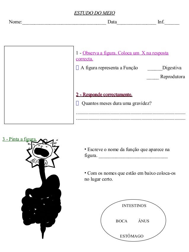 ESTUDO DO MEIOESTUDO DO MEIO
Nome:__________________________________ Data________________ Inf.______
1 - Observa a figura....