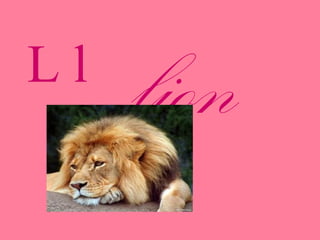 Ll
lion