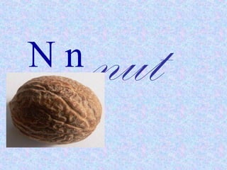 Nn nut