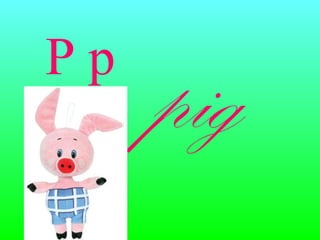 Pp
pig
