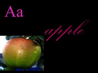 Aa
apple