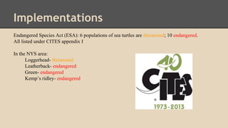 Implementations
Endangered Species Act (ESA): 6 populations of sea turtles are threatened; 10 endangered.
All listed under CITES appendix I
In the NYS area:
Loggerhead- threatened
Leatherback- endangered
Green- endangered
Kemp’s ridley- endangered
 