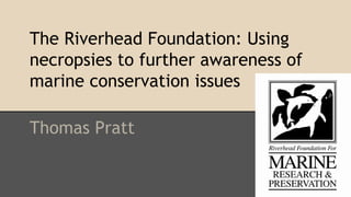 The Riverhead Foundation: Using
necropsies to further awareness of
marine conservation issues
Thomas Pratt
 