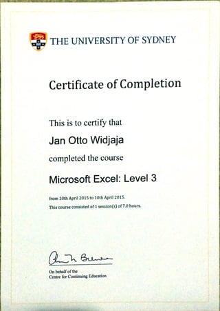 Jan Otto Widjaja- Advanced MS Excel Certificate
