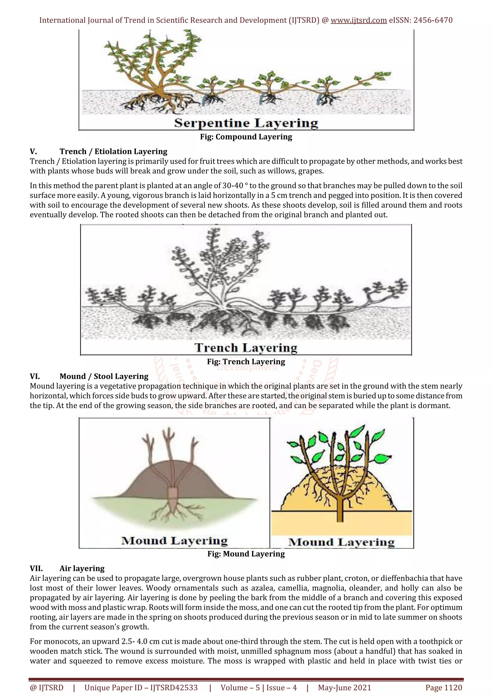 Methods of Plant Propagation Sexual and Vegetative | PDF | Woodworking ...