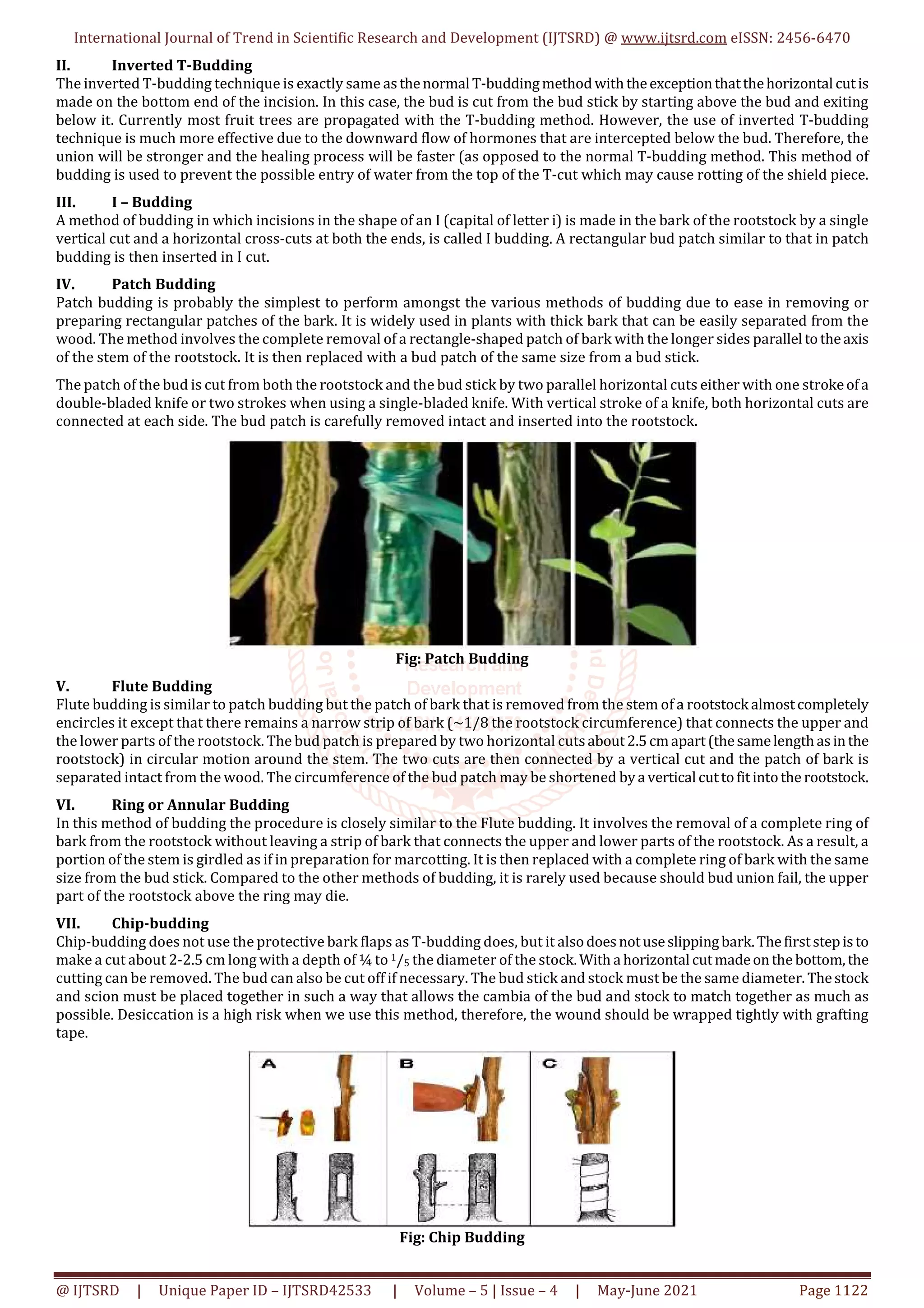 Methods of Plant Propagation Sexual and Vegetative | PDF