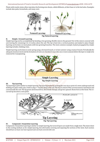Methods of Plant Propagation Sexual and Vegetative | PDF
