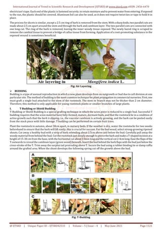 Methods of Plant Propagation Sexual and Vegetative | PDF