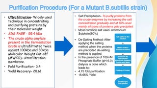• Ultrafiltration- Widely used
technique in concentrating
and purifying proteins by
their molecular weight.
• SDS-PAGE - 55.4 kDa
• The crude alpha amylase
present in the fermentation
broth is ultrafiltrated twice
against 100kDa and 30kDa
Molecular Weight Cut-off
(MWCO)- ultrafiltration
membrane.
• Fold Purification- 3.4
• Yield Recovery- 20.61
• De-Salting Method: After
applying the salting
method when the proteins
are precipited de-salting
method is applied.
• In the presence of 100mM
Phosphate Buffer (pH-6.0)
dialysis is done which
leads to-
• 4.75 fold purification
• 16.66% Yield
• Salt Precipitation- To purify proteins from
the crude enzymes by increasing the salt
concentration gradually and at 60% level
mainly all types of proteins gets precipited.
• Most common salt used- Ammonium
Sulphate(80%)
 
