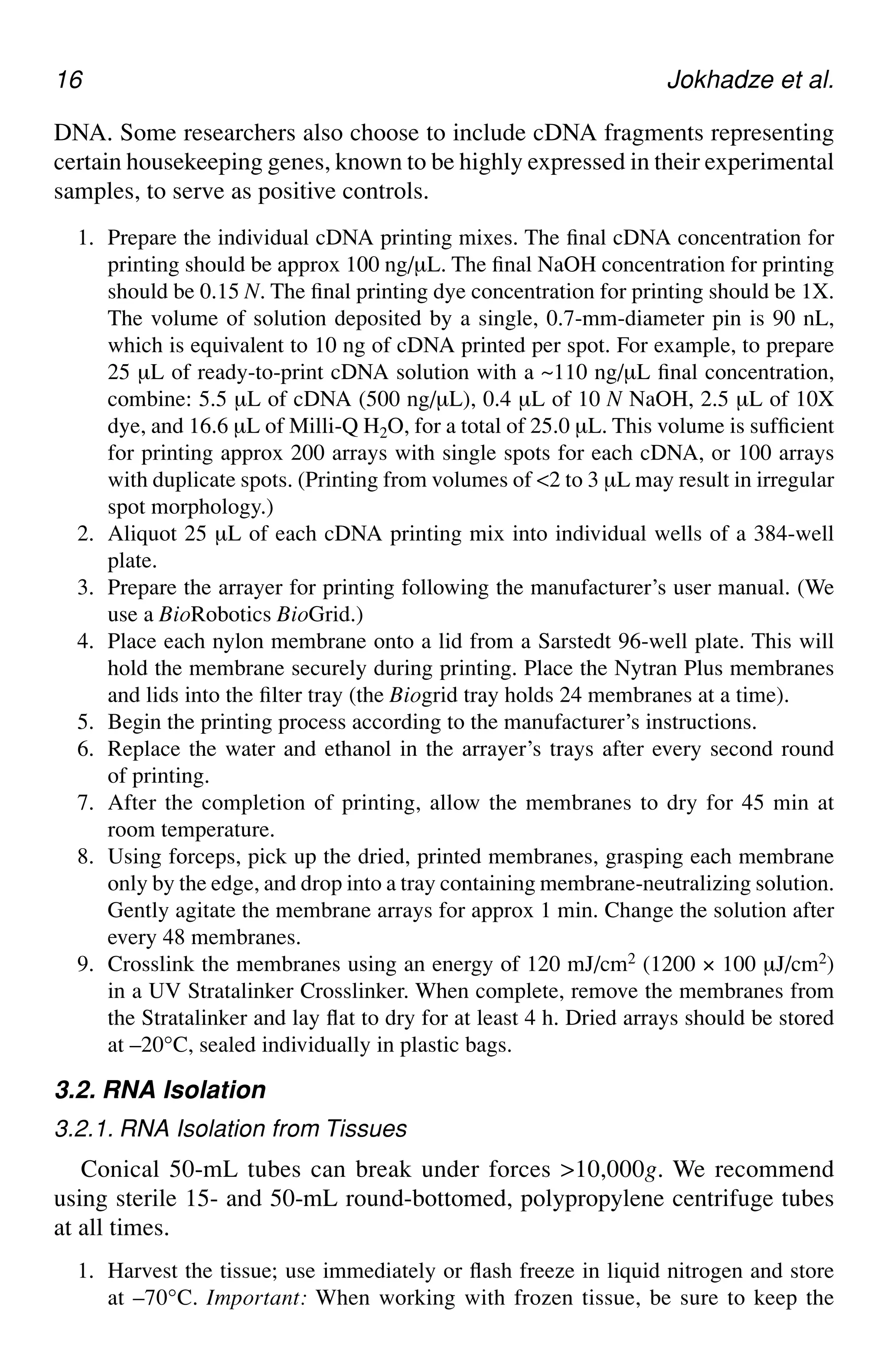 16 Jokhadze et al.
DNA. Some researchers also choose to include cDNA fragments representing
certain housekeeping genes, known to be highly expressed in their experimental
samples, to serve as positive controls.
1. Prepare the individual cDNA printing mixes. The final cDNA concentration for
printing should be approx 100 ng/µL. The final NaOH concentration for printing
should be 0.15 N. The final printing dye concentration for printing should be 1X.
The volume of solution deposited by a single, 0.7-mm-diameter pin is 90 nL,
which is equivalent to 10 ng of cDNA printed per spot. For example, to prepare
25 µL of ready-to-print cDNA solution with a ~110 ng/µL final concentration,
combine: 5.5 µL of cDNA (500 ng/µL), 0.4 µL of 10 N NaOH, 2.5 µL of 10X
dye, and 16.6 µL of Milli-Q H2O, for a total of 25.0 µL. This volume is sufficient
for printing approx 200 arrays with single spots for each cDNA, or 100 arrays
with duplicate spots. (Printing from volumes of <2 to 3 µL may result in irregular
spot morphology.)
2. Aliquot 25 µL of each cDNA printing mix into individual wells of a 384-well
plate.
3. Prepare the arrayer for printing following the manufacturer’s user manual. (We
use a BioRobotics BioGrid.)
4. Place each nylon membrane onto a lid from a Sarstedt 96-well plate. This will
hold the membrane securely during printing. Place the Nytran Plus membranes
and lids into the filter tray (the Biogrid tray holds 24 membranes at a time).
5. Begin the printing process according to the manufacturer’s instructions.
6. Replace the water and ethanol in the arrayer’s trays after every second round
of printing.
7. After the completion of printing, allow the membranes to dry for 45 min at
room temperature.
8. Using forceps, pick up the dried, printed membranes, grasping each membrane
only by the edge, and drop into a tray containing membrane-neutralizing solution.
Gently agitate the membrane arrays for approx 1 min. Change the solution after
every 48 membranes.
9. Crosslink the membranes using an energy of 120 mJ/cm2 (1200 × 100 µJ/cm2)
in a UV Stratalinker Crosslinker. When complete, remove the membranes from
the Stratalinker and lay flat to dry for at least 4 h. Dried arrays should be stored
at –20°C, sealed individually in plastic bags.
3.2. RNA Isolation
3.2.1. RNA Isolation from Tissues
Conical 50-mL tubes can break under forces >10,000g. We recommend
using sterile 15- and 50-mL round-bottomed, polypropylene centrifuge tubes
at all times.
1. Harvest the tissue; use immediately or flash freeze in liquid nitrogen and store
at –70°C. Important: When working with frozen tissue, be sure to keep the
 