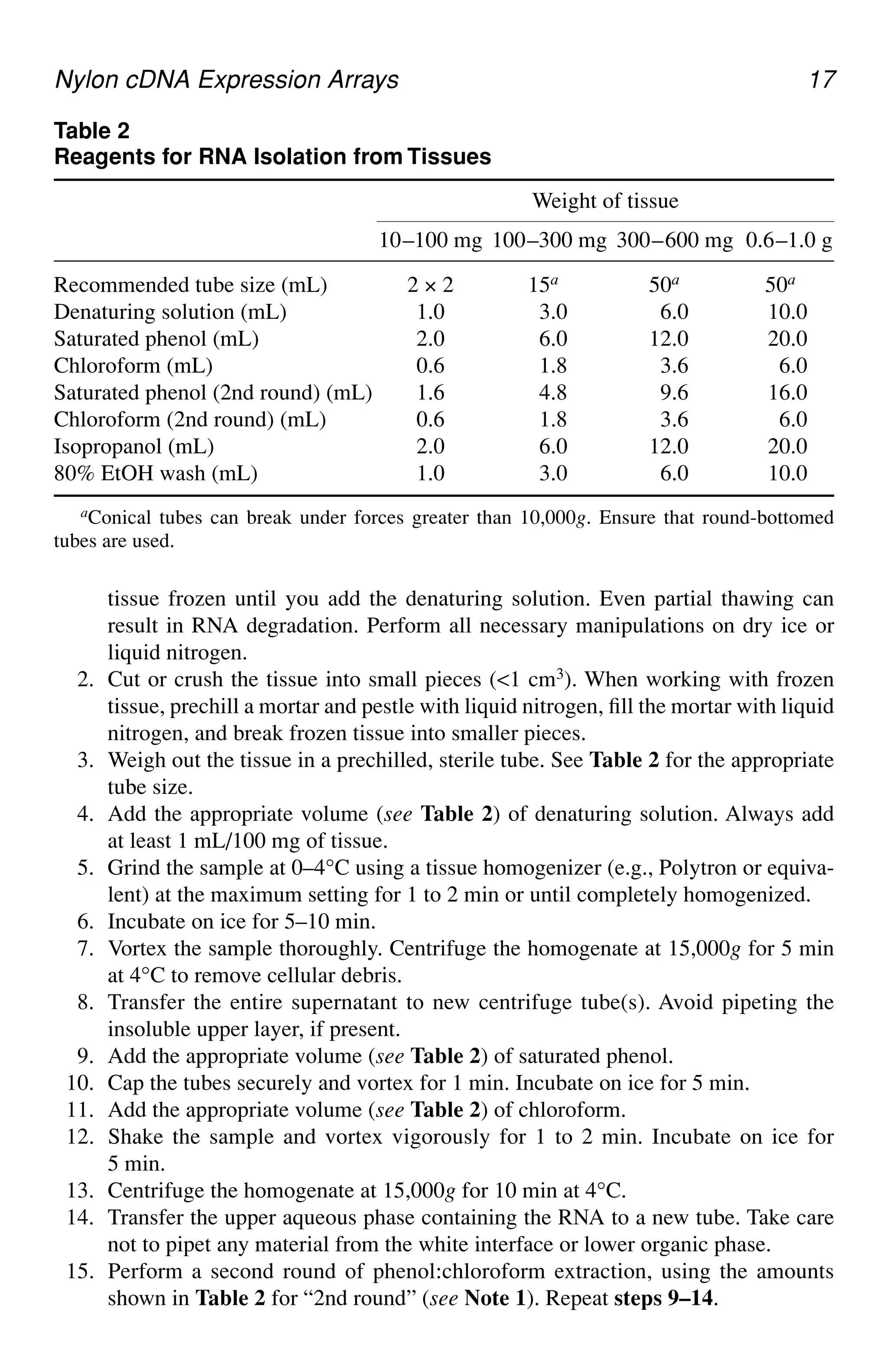 Nylon cDNA Expression Arrays 17
tissue frozen until you add the denaturing solution. Even partial thawing can
result in RNA degradation. Perform all necessary manipulations on dry ice or
liquid nitrogen.
2. Cut or crush the tissue into small pieces (<1 cm3). When working with frozen
tissue, prechill a mortar and pestle with liquid nitrogen, fill the mortar with liquid
nitrogen, and break frozen tissue into smaller pieces.
3. Weigh out the tissue in a prechilled, sterile tube. See Table 2 for the appropriate
tube size.
4. Add the appropriate volume (see Table 2) of denaturing solution. Always add
at least 1 mL/100 mg of tissue.
5. Grind the sample at 0–4°C using a tissue homogenizer (e.g., Polytron or equiva-
lent) at the maximum setting for 1 to 2 min or until completely homogenized.
6. Incubate on ice for 5–10 min.
7. Vortex the sample thoroughly. Centrifuge the homogenate at 15,000g for 5 min
at 4°C to remove cellular debris.
8. Transfer the entire supernatant to new centrifuge tube(s). Avoid pipeting the
insoluble upper layer, if present.
9. Add the appropriate volume (see Table 2) of saturated phenol.
10. Cap the tubes securely and vortex for 1 min. Incubate on ice for 5 min.
11. Add the appropriate volume (see Table 2) of chloroform.
12. Shake the sample and vortex vigorously for 1 to 2 min. Incubate on ice for
5 min.
13. Centrifuge the homogenate at 15,000g for 10 min at 4°C.
14. Transfer the upper aqueous phase containing the RNA to a new tube. Take care
not to pipet any material from the white interface or lower organic phase.
15. Perform a second round of phenol:chloroform extraction, using the amounts
shown in Table 2 for “2nd round” (see Note 1). Repeat steps 9–14.
Table 2
Reagents for RNA Isolation from Tissues
Weight of tissue
10–100 mg 100–300 mg 300–600 mg 0.6–1.0 g
Recommended tube size (mL) 2 × 2 15a.1 50a.1 50a11
Denaturing solution (mL) 1.0 13.0a 16.0a 10.0a
Saturated phenol (mL) 2.0 16.0a 12.0a 20.0a
Chloroform (mL) 0.6 11.8a 13.6a 16.0a
Saturated phenol (2nd round) (mL) 1.6 14.8a 19.6a 16.0a
Chloroform (2nd round) (mL) 0.6 11.8a 13.6a 16.0a
Isopropanol (mL) 2.0 16.0a 12.0a 20.0a
80% EtOH wash (mL) 1.0 13.0a 16.0a 10.0a
aConical tubes can break under forces greater than 10,000g. Ensure that round-bottomed
tubes are used.
 