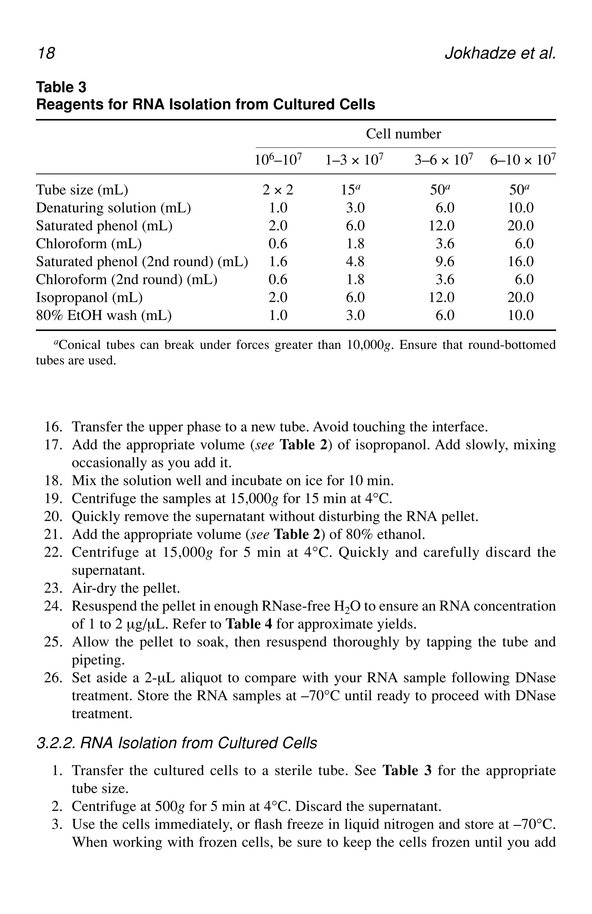 18 Jokhadze et al.
16. Transfer the upper phase to a new tube. Avoid touching the interface.
17. Add the appropriate volume (see Table 2) of isopropanol. Add slowly, mixing
occasionally as you add it.
18. Mix the solution well and incubate on ice for 10 min.
19. Centrifuge the samples at 15,000g for 15 min at 4°C.
20. Quickly remove the supernatant without disturbing the RNA pellet.
21. Add the appropriate volume (see Table 2) of 80% ethanol.
22. Centrifuge at 15,000g for 5 min at 4°C. Quickly and carefully discard the
supernatant.
23. Air-dry the pellet.
24. Resuspend the pellet in enough RNase-free H2O to ensure an RNA concentration
of 1 to 2 µg/µL. Refer to Table 4 for approximate yields.
25. Allow the pellet to soak, then resuspend thoroughly by tapping the tube and
pipeting.
26. Set aside a 2-µL aliquot to compare with your RNA sample following DNase
treatment. Store the RNA samples at –70°C until ready to proceed with DNase
treatment.
3.2.2. RNA Isolation from Cultured Cells
1. Transfer the cultured cells to a sterile tube. See Table 3 for the appropriate
tube size.
2. Centrifuge at 500g for 5 min at 4°C. Discard the supernatant.
3. Use the cells immediately, or flash freeze in liquid nitrogen and store at –70°C.
When working with frozen cells, be sure to keep the cells frozen until you add
Table 3
Reagents for RNA Isolation from Cultured Cells
Cell number
106–107 1–3 × 107 3–6 × 107 6–10 × 107
Tube size (mL) 2 × 2 15a.. 50a1 50a1
Denaturing solution (mL) 1.0 13.0a 16.0a 10.0a
Saturated phenol (mL) 2.0 16.0a 12.0a 20.0a
Chloroform (mL) 0.6 11.8a 13.6a 16.0a
Saturated phenol (2nd round) (mL) 1.6 14.8a 19.6a 16.0a
Chloroform (2nd round) (mL) 0.6 11.8a 13.6a 16.0a
Isopropanol (mL) 2.0 16.0a 12.0a 20.0a
80% EtOH wash (mL) 1.0 13.0a 16.0a 10.0a
aConical tubes can break under forces greater than 10,000g. Ensure that round-bottomed
tubes are used.
 