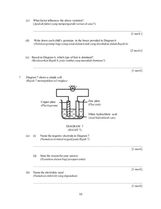 10
(c) What factor influences the above variation?.
(Apakah faktoryang mempengaruhi variasi di atas?)
.....................................................................................................................................................
[1 mark ]
(d) Write down each child’s genotype in the boxes provided in Diagram 6.
(Tuliskan genotip bagi setiap anak dalamkotak yang disediakan dalamRajah 6)
[2 marks]
(e) Based on Diagram 6, which type of hair is dominant?
(Berdasarkan Rajah 6,jenis rambut yang manakah dominan?)
…………………………………………………………………………………………..............
[1 mark]
7 Diagram 7 shows a simple cell.
(Rajah 7 menunjukkan sel ringkas)
(a) (i) Name the negative electrode in Diagram 7
(Namakan terminal negatif pada Rajah 7)
…………………………………………………………………………………………..............
[1 mark]
(ii) State the reason for your answer
(Nyatakan alasan bagi jawapan anda)
…………………………………………………………………………………………..............
[1 mark]
(b) Name the electrolyte used
(Namakan elektrolit yang digunakan)
…………………………………………………………………………………………..............
[1 mark]
Zinc plate
(Plat zink)
Copper plate
(Plat kuprum)
Dilute hydrochloric acid
(Asid hidroklorik cair)
DIAGRAM 7
(RAJAH 7)
 