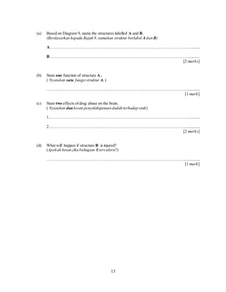 13
(a) Based on Diagram 9, name the structures labelled A and B.
(Berdasarkan kepada Rajah 9, namakan struktur berlabel A dan B)
A.…………………………………………………………………………………………..........
B…………………………………………………………………………………………...........
[2 marks]
(b) State one function of structure A .
( Nyatakan satu fungsi struktur A. )
…………………………………………………………………………………………..............
[1 mark]
(c) State two effects of drug abuse on the brain.
( Nyatakan dua kesan penyalahgunaan dadah terhadap otak)
1.…………………………………………………………………………………………...........
2…………………………………………………………………………………………............
[2 marks]
(d) What will happen if structure B is injured?
(Apakah kesan jika bahagian B tercedera?)
…………………………………………………………………………………………..............
[1 mark]
 
