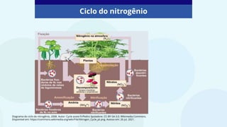 Ciclo do nitrogênio
Diagrama do ciclo do nitrogênio, 2008. Autor: Cycle azote fr/Pedro Spoladore. CC-BY-SA-3.0. Wikimedia Commons.
Disponível em: https://commons.wikimedia.org/wiki/File:Nitrogen_Cycle_pt.png. Acesso em: 26 jul. 2021.
 