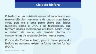 O fósforo é um nutriente essencial encontrado nas
macromoléculas humanas e de outros organismos
vivos, pois ele é uma parte chave dos ácidos
nucleicos, como o DNA, e os fosfolipídios, que
formam nossas membranas celulares. Assim como
o fosfato de cálcio, ele também forma os
componentes de sustentação dos nossos ossos.
O ciclo do fósforo é lento, pois a maior parte do
fósforo na natureza existe na forma de íon fosfato
(PO4
-3).
Ciclo do fósforo
Elaborado especialmente para o CMSP.
 
