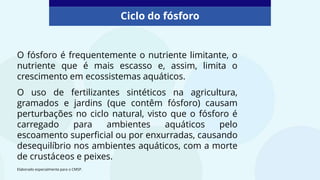 O fósforo é frequentemente o nutriente limitante, o
nutriente que é mais escasso e, assim, limita o
crescimento em ecossistemas aquáticos.
O uso de fertilizantes sintéticos na agricultura,
gramados e jardins (que contêm fósforo) causam
perturbações no ciclo natural, visto que o fósforo é
carregado para ambientes aquáticos pelo
escoamento superficial ou por enxurradas, causando
desequilíbrio nos ambientes aquáticos, com a morte
de crustáceos e peixes.
Ciclo do fósforo
Elaborado especialmente para o CMSP.
 