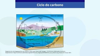 Ciclo do carbono
Diagrama do ciclo biogeoquímico do carbono, 2018. Autor: Kevin Saff/ Gtyogui . CC-BY-SA-4.0. Wikimedia Commons.
Disponível em: https://commons.wikimedia.org/wiki/File:Ciclo_biogeoqu%C3%ADmico_do_carbono.svg. Acesso em: 26 jul. 2021.
 