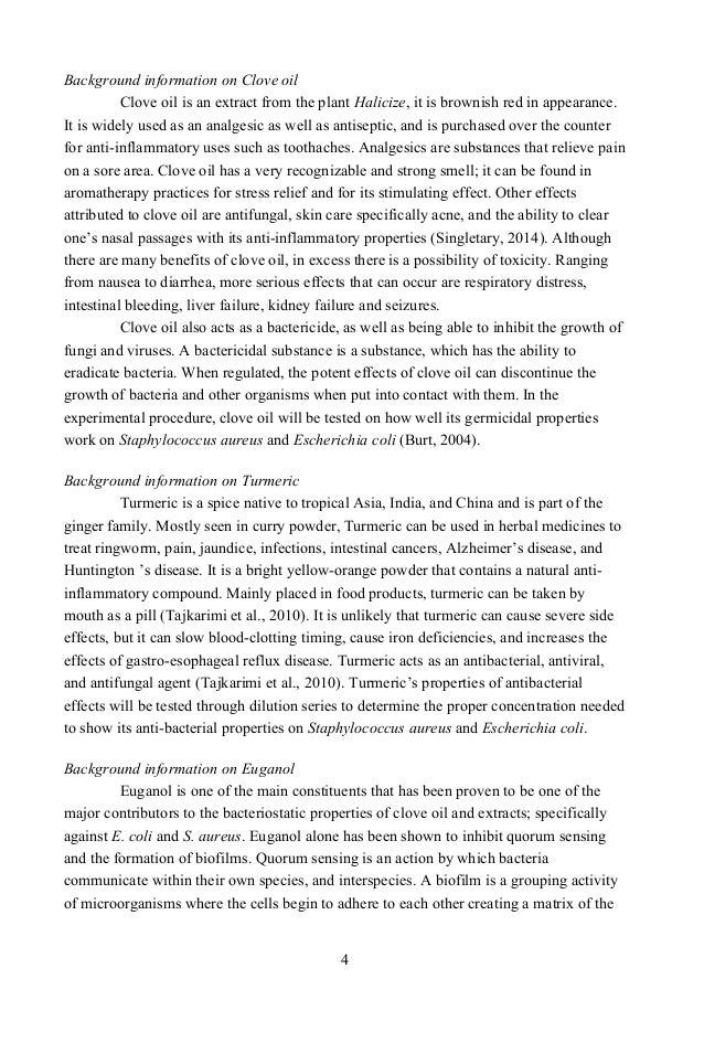 essay about automobile industry software