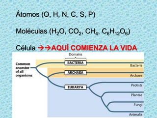 Átomos (O, H, N, C, S, P)
Moléculas (H2O, CO2, CH4, C6H12O6)
Célula AQUÍ COMIENZA LA VIDA

 