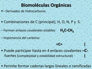Biomoléculas Orgánicas
•– Derivados de hidrocarburos
• Combinaciones de C (principal), H, O, N, P y S.
– Forman enlaces covalentes estables

H3C-CH3

– Importancia del carbono:

=C=

|

• Puede participar hasta en 4 enlaces covalentes –Cfuertes (complejidad y estabilidad estructural)
|
• Permite formar cadenas largas lineales o ramificadas

 