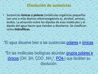 Disolución de sustancias
• Sustancias iónicas y polares (moléculas orgánicas pequeñas
con uno o más átomos electronegativos ej. alcohol, aminas,
ácidos. La atracción entre los dipolos de esas moléculas y el
dipolo del agua hacen que tiendan a disolverse. Se clasifican
como hidrofílicas.

*El agua disuelve bien a las sustancias polares e iónicas.
*En las moléculas biológicas abundan grupos polares e
iónicos (OH, SH, COO-, NH3+, PO4-) que facilitan su
disolución.

 