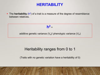 HERITABILITY
 The heritability (h2) of a trait is a measure of the degree of resemblance
between relatives.
h2 =
additive genetic variance (VA)/ phenotypic variance (VP)
Heritability ranges from 0 to 1
(Traits with no genetic variation have a heritability of 0)
 