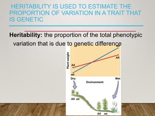 HERITABILITY IS USED TO ESTIMATE THE
PROPORTION OF VARIATION IN A TRAIT THAT
IS GENETIC
Heritability: the proportion of the total phenotypic
variation that is due to genetic difference
 