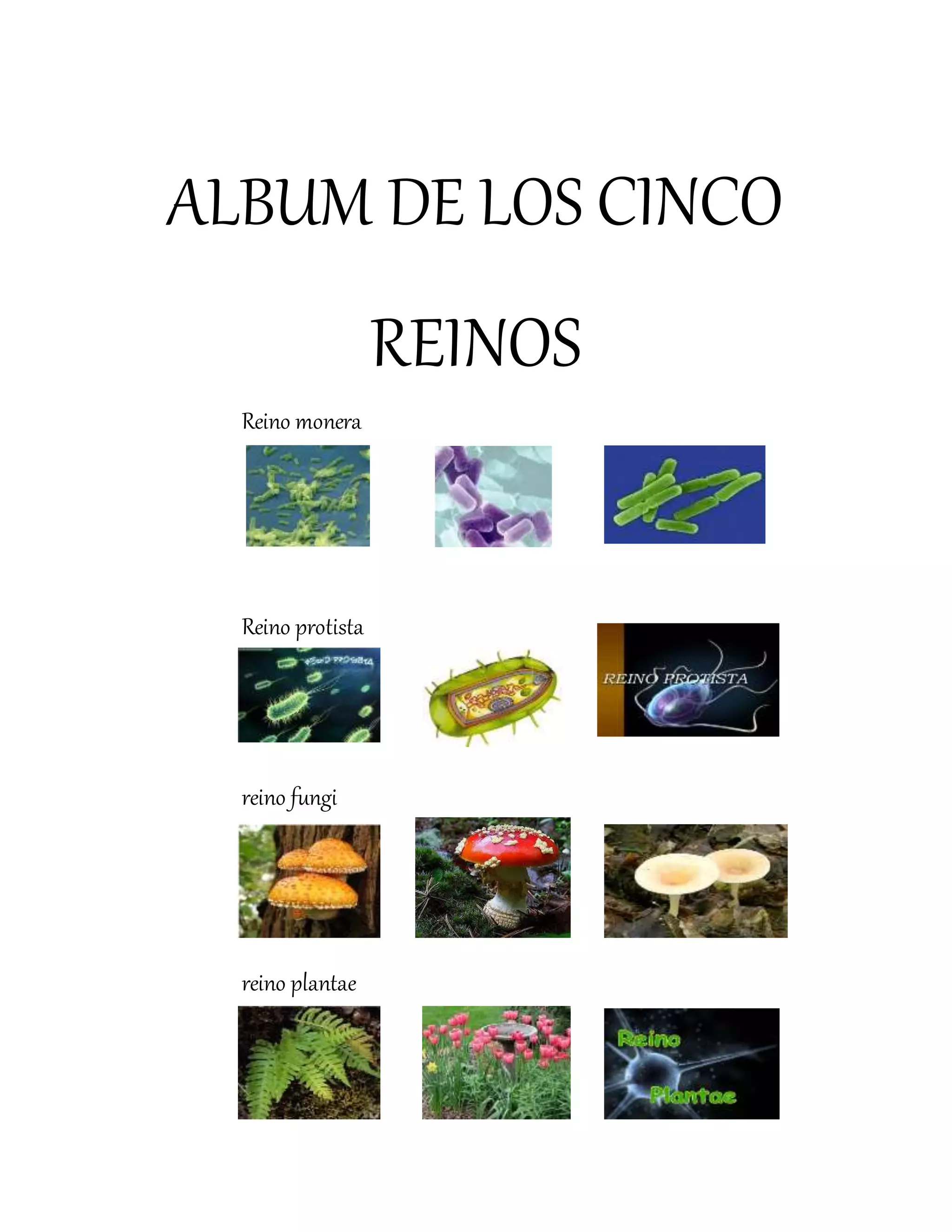 186967054-Album-de-Los-Cinco-Reinos.docx