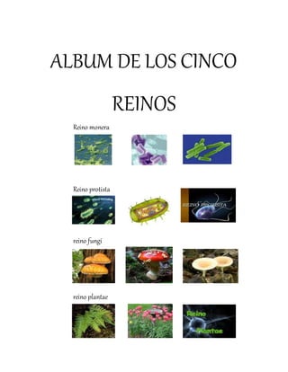 ALBUM DE LOS CINCO
REINOS
Reino monera
Reino protista
reino fungi
reino plantae
 