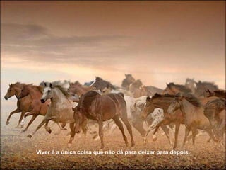 Viver é a única coisa que não dá para deixar para depois. 