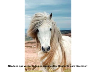 Não tens que vencer todos os argumentos: Concorda para discordar. 
