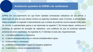 Analisando questões do ENEM e de vestibulares
(UFRS) Em um experimento em que foram injetados aminoácidos radioativos em um animal, a
observação de uma de suas células mostrou os seguintes resultados: após 3 minutos, a radioatividade
estava localizada na organela X (demonstrando que a síntese de proteínas ocorria naquele local); após
20 minutos, a radioatividade passou a ser observada na organela Y; 90 minutos depois, verificou-se a
presença de grânulos de secreção de radioativos, uma evidência de que as proteínas estavam
próximas de serem exportadas. As organelas X e Y referidas no texto são, respectivamente,
a) o complexo golgiense e o lisossomo.
b) o retículo endoplasmático liso e o retículo endoplasmático rugoso.
c) a mitocôndria e o ribossomo.
d) o retículo endoplasmático rugoso e o complexo golgiense
e) o centríolo e o retículo endoplasmático liso.
 
