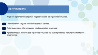 Hoje nós aprendemos algumas noções básicas as organelas celulares.
Relembramos alguns conceitos sobre as células.
Relembramos as diferenças das células vegetais e animais.
Aprendemos as funções das organelas celulares e a sua importância no funcionamento dos
organismos.
Aprendizagens
 