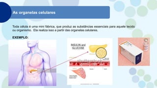 As organelas celulares
Toda célula é uma mini fábrica, que produz as substâncias essenciais para aquele tecido
ou organismo. Ela realiza isso a partir das organelas celulares.
EXEMPLO:
 