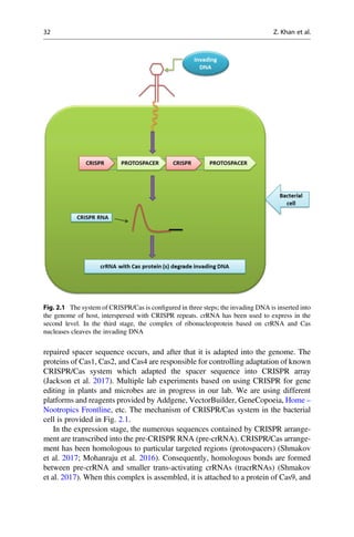 The Crisprcas Tool Kit For Genome Editing Aftab Ahmad Sultan Habibullah ...